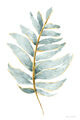 Image Not Available
